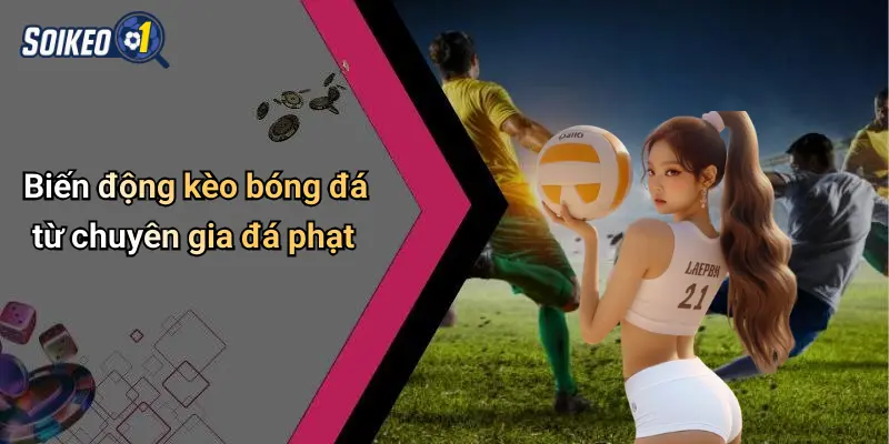 Biến động kèo bóng đá từ chuyên gia đá phạt