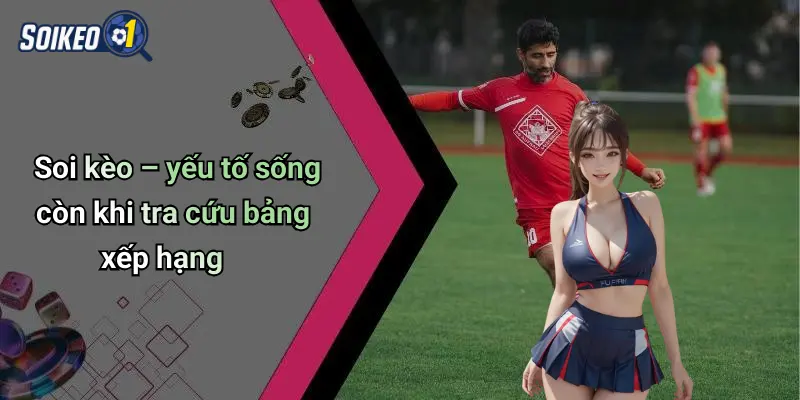 Soi kèo – yếu tố sống còn khi tra cứu bảng xếp hạng