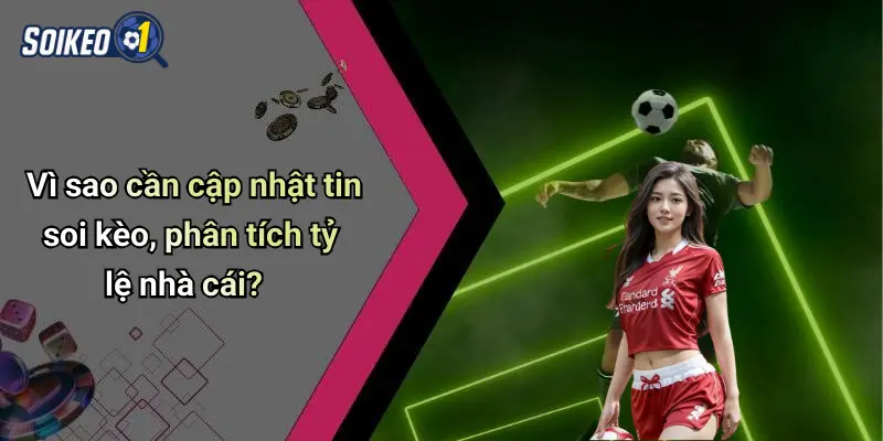 Vì sao cần cập nhật tin soi kèo, phân tích tỷ lệ nhà cái?