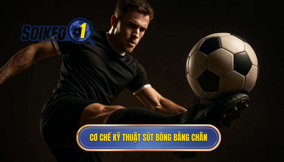 Cơ chế hoạt động của Kỹ thuật sút bóng bằng đầu ngón chân